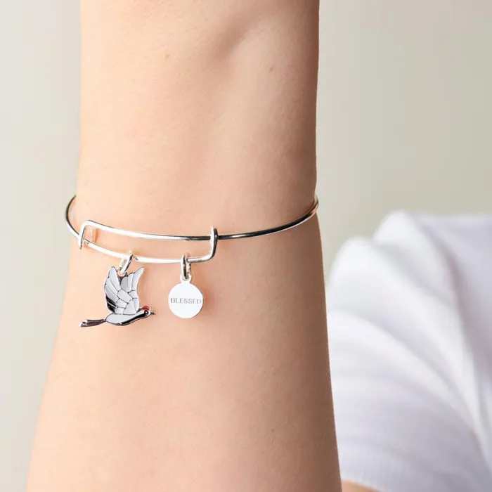 039Blessed039 Crane Duo Charm Bangle Bracelet Silver Women Alex And Ani Iconic Alex And Ani 039Blessed039 Crane Duo Charm Bangle Bracelet Silver Women Alex And Ani Iconic Alex And Ani