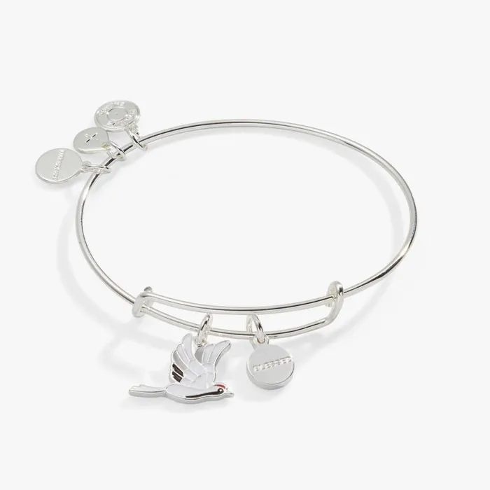 039Blessed039 Crane Duo Charm Bangle Bracelet Silver Women Alex And Ani Thank You 039Blessed039 Crane Duo Charm Bangle Bracelet Silver Women Alex And Ani Thank You
