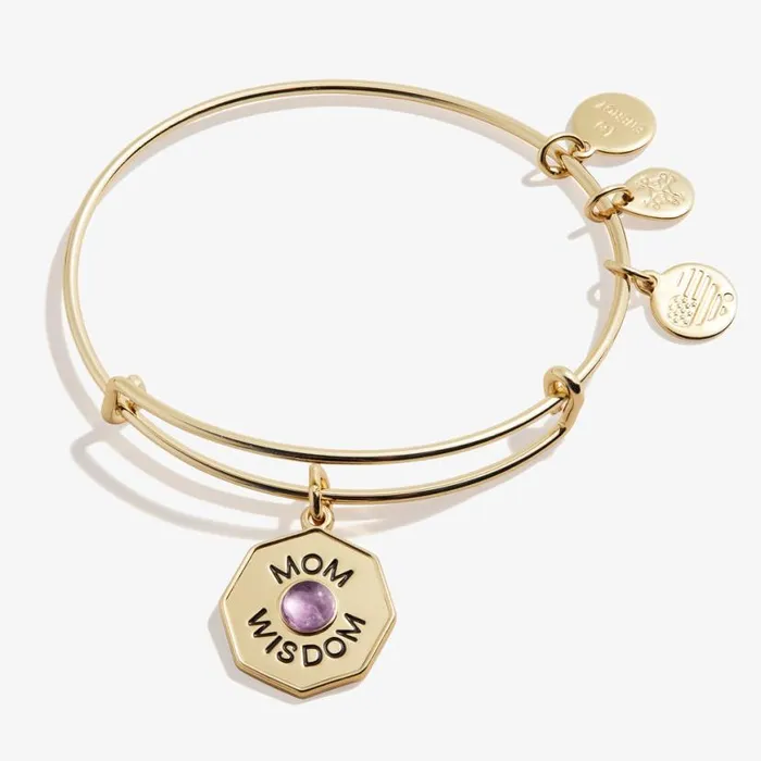 039Mom Wisdom039 Amethyst Charm Bangle Bracelet Silver Women Alex And Ani Iconic Alex And Ani 039Mom Wisdom039 Amethyst Charm Bangle Bracelet Silver Women Alex And Ani Iconic Alex And Ani