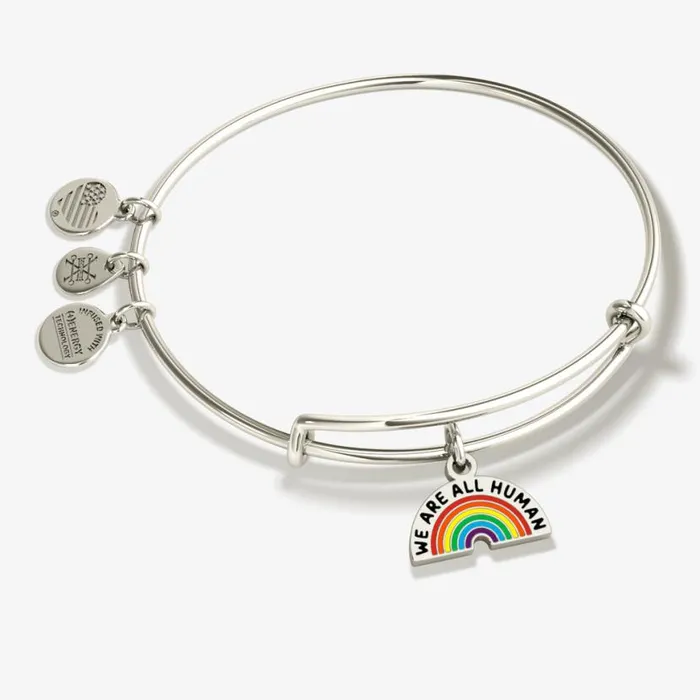039We Are All Human039 Rainbow Charm Bangle Bracelet Shiny Silver Women Alex And Ani Iconic Alex And Ani 039We Are All Human039 Rainbow Charm Bangle Bracelet Shiny Silver Women Alex And Ani Iconic Alex And Ani