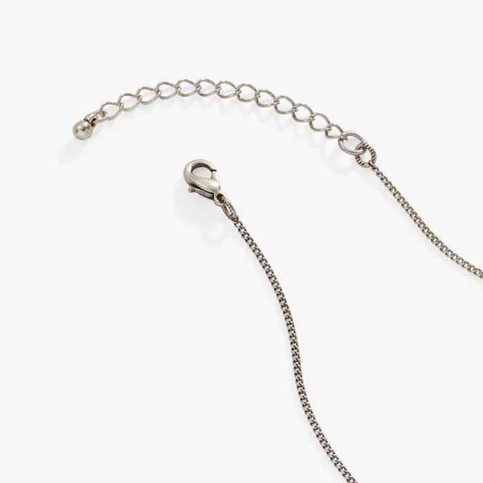 Antique Butterfly Necklace Two Tone Women Alex And Ani Necklaces