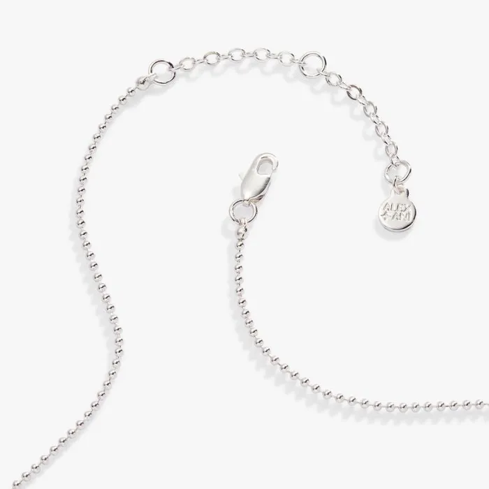 Aries Zodiac DoubleSided Charm Necklace Silver Women Alex And Ani Necklaces Aries Zodiac DoubleSided Charm Necklace Silver Women Alex And Ani Necklaces