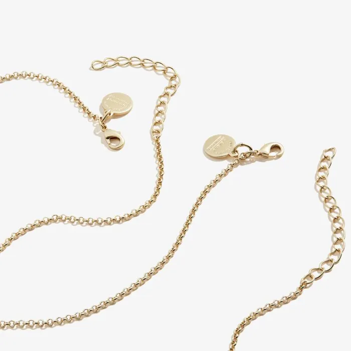Best Friend Necklaces Pink Red Set Of 2 Shiny Gold Women Alex And Ani Heart Best Friend Necklaces Pink Red Set Of 2 Shiny Gold Women Alex And Ani Heart