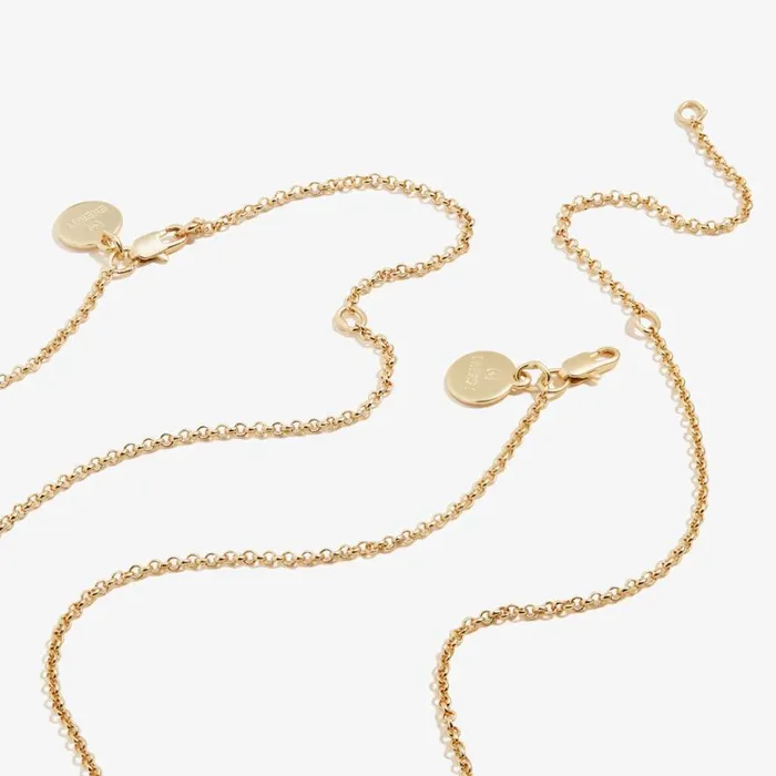 Best Friends Charm Necklace Set Of 2 Silver Women Alex And Ani Thank You Best Friends Charm Necklace Set Of 2 Silver Women Alex And Ani Thank You
