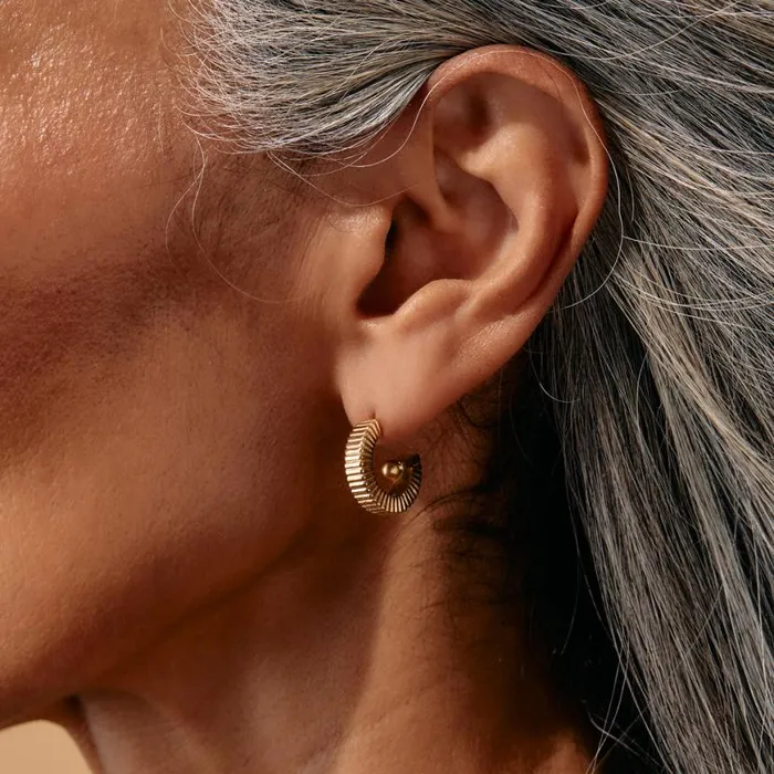 Black Onyx Textured Earrings Stainless Steel Silver Women Alex And Ani Growth New Beginnings