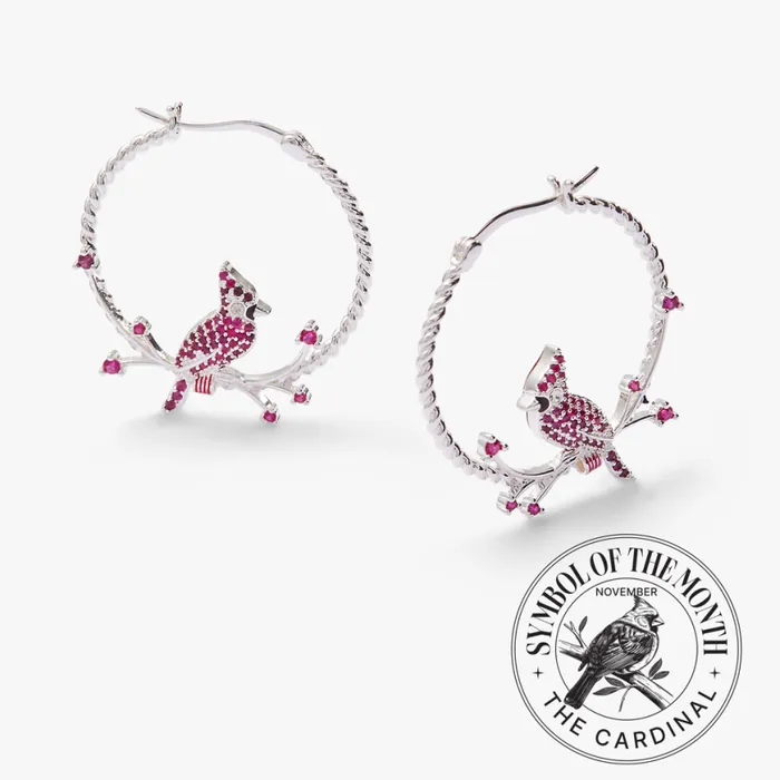 Cardinal Hoop Earrings Shiny Silver Women Alex And Ani Earrings