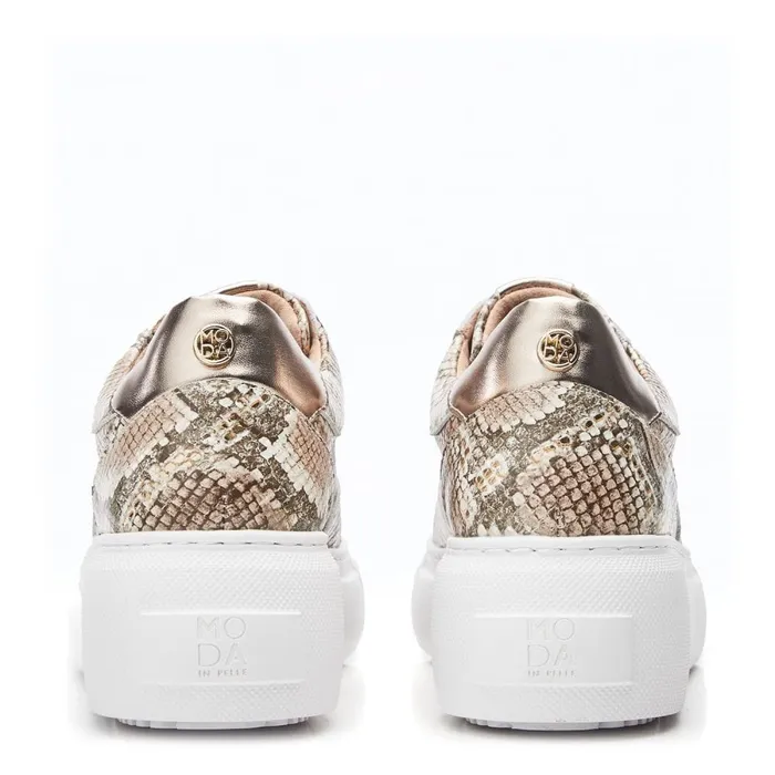 Chunky Trainers Women Moda In Pelle Althea Natural 8211 Gold Snake Print Leather