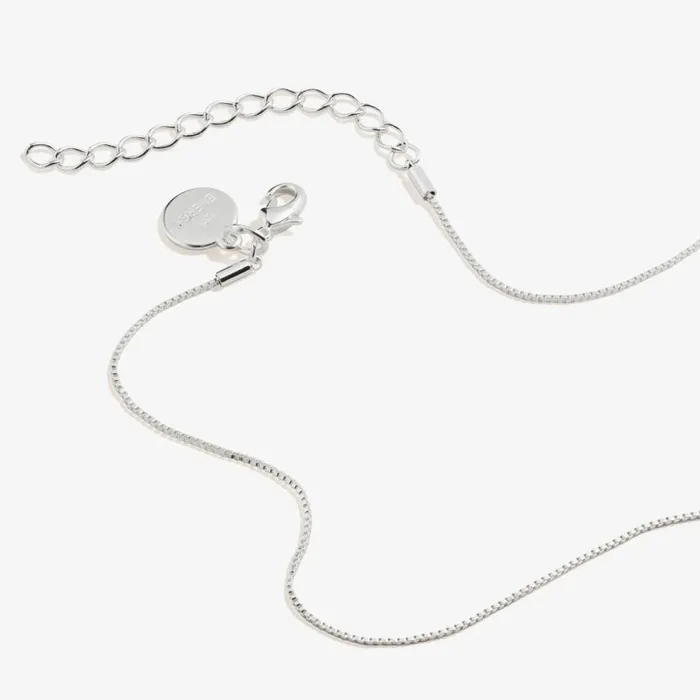 Clear Crystal Heart Necklace April Birthstone Silver Women Alex And Ani Heart Clear Crystal Heart Necklace April Birthstone Silver Women Alex And Ani Heart