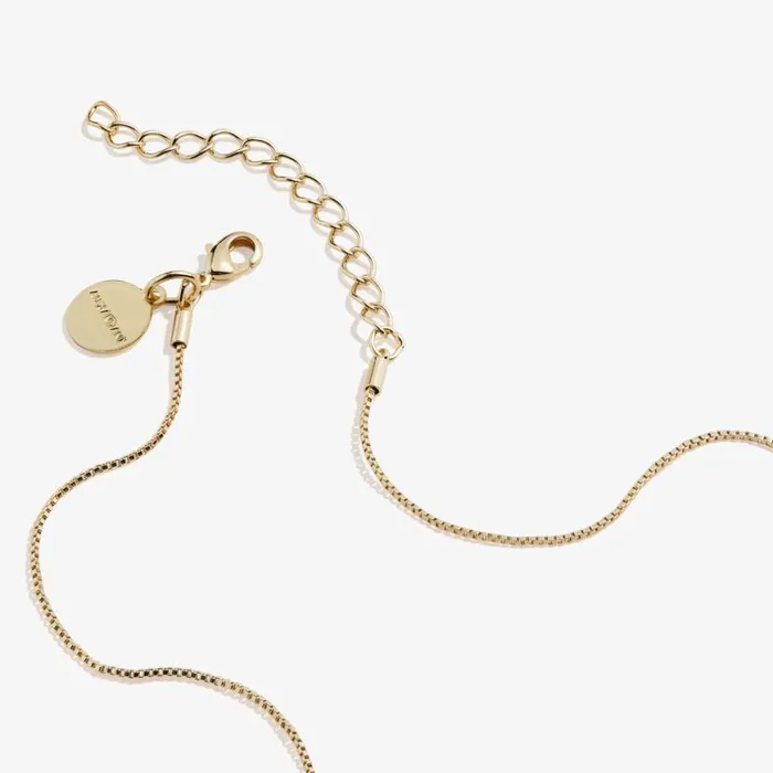 Clear Crystal Heart Necklace April Birthstone Silver Women Alex And Ani Love Clear Crystal Heart Necklace April Birthstone Silver Women Alex And Ani Love