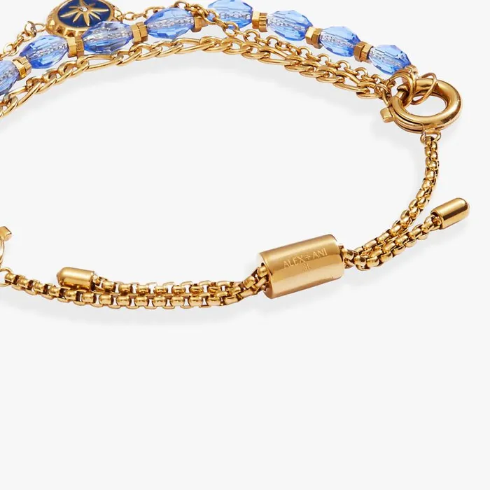 Compass Stranded Bracelet Set Stainless Steel Gold Women Alex And Ani Growth New Beginnings