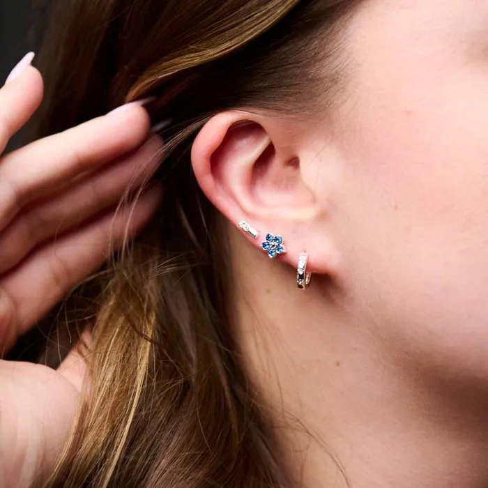 Crystal ForgetMeNot Flower Stud Hoop Earrings Set Of 3 Silver Women Alex And Ani Growth New Beginnings Crystal ForgetMeNot Flower Stud Hoop Earrings Set Of 3 Silver Women Alex And Ani Growth New Beginnings