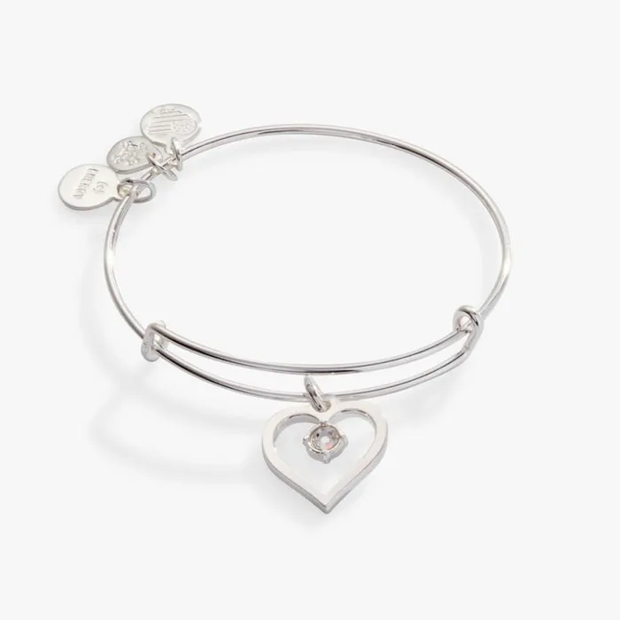Crystal In Heart Charm Bangle Bracelet Silver Women Alex And Ani Heart