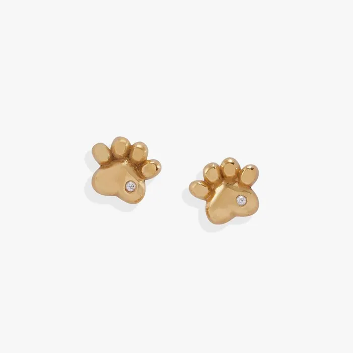 Crystal Paw Mini Stud Earrings Stainless Steel Gold Women Alex And Ani Pets We Love Crystal Paw Mini Stud Earrings Stainless Steel Gold Women Alex And Ani Pets We Love