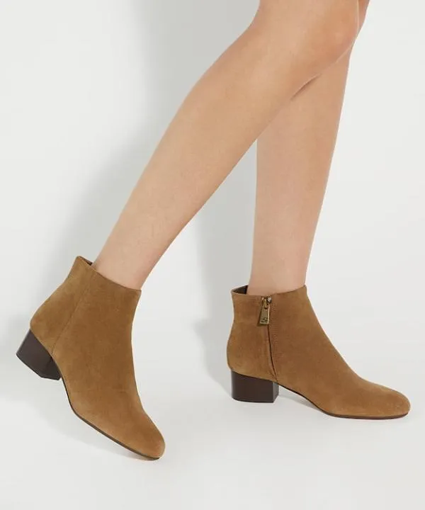 Dune London Ankle Boots Perrie Taupe Low Heel Ankle Boots Dune London Neutral 8211 Women Dune London Ankle Boots Perrie Taupe Low Heel Ankle Boots Dune London Neutral 8211 Women