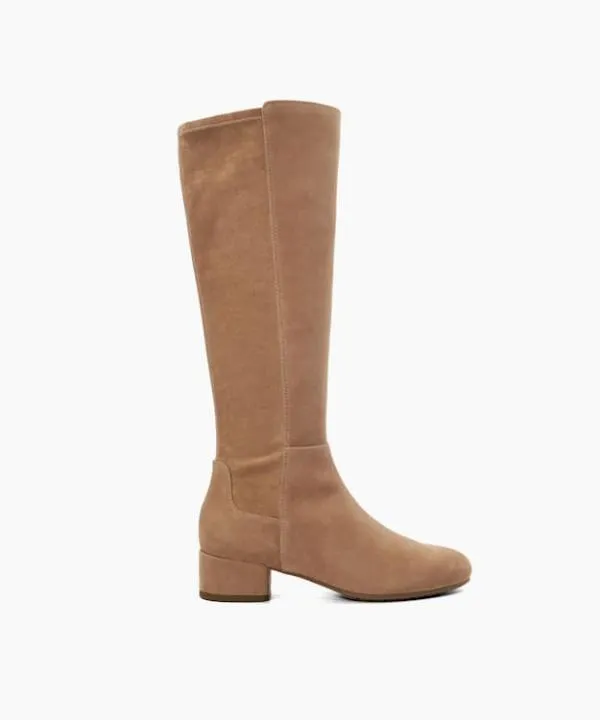 Dune London Knee High Boots Tayla Caramel StretchSuede KneeHigh Boots Dune London Brown 8211 Women Dune London Knee High Boots Tayla Caramel StretchSuede KneeHigh Boots Dune London Brown 8211 Women