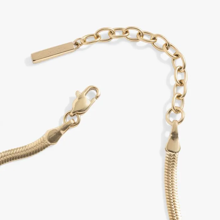 Everyday Herringbone Chain Bracelet Stainless Steel Gold Women Alex And Ani Bracelets Everyday Herringbone Chain Bracelet Stainless Steel Gold Women Alex And Ani Bracelets