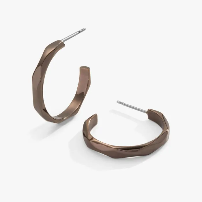 Faceted Hoop Earrings Gold Women Alex And Ani Earrings Faceted Hoop Earrings Gold Women Alex And Ani Earrings