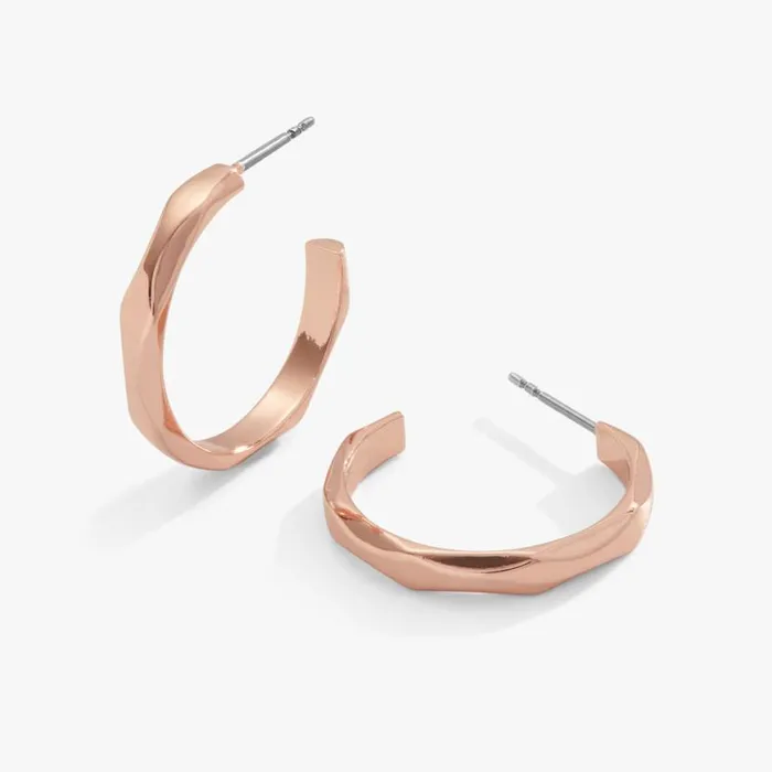 Faceted Hoop Earrings Gold Women Alex And Ani Earrings Faceted Hoop Earrings Gold Women Alex And Ani Earrings