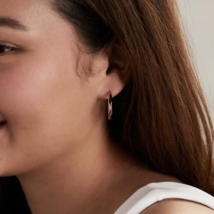 Faceted Hoop Earrings Gold Women Alex And Ani Earrings Faceted Hoop Earrings Gold Women Alex And Ani Earrings