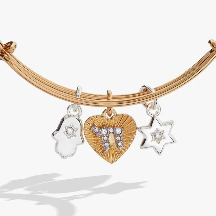 Faith And Family Star Of David Charm Bangle Two Tone Women Alex And Ani Bracelets Faith And Family Star Of David Charm Bangle Two Tone Women Alex And Ani Bracelets