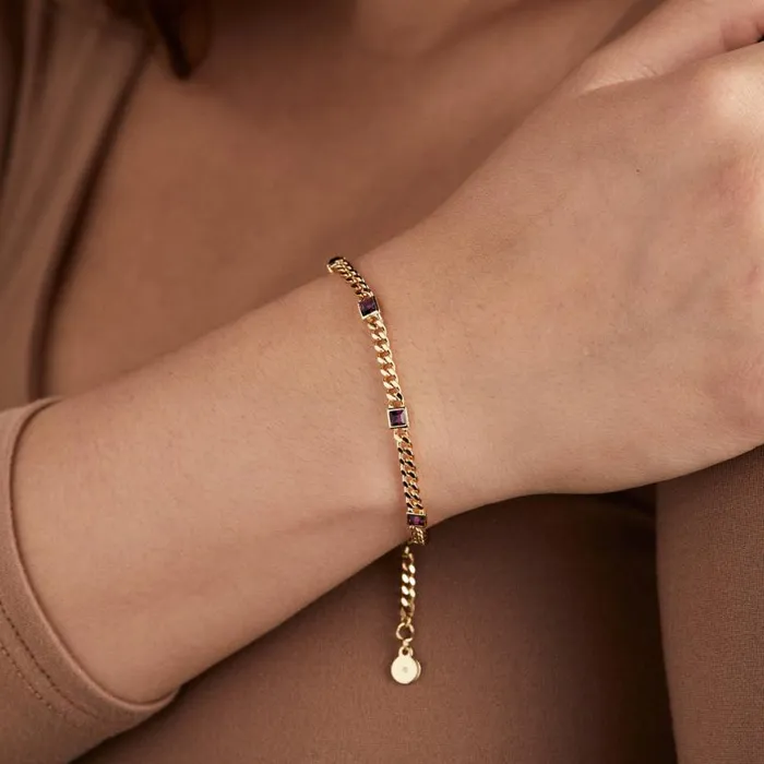 February Birthstone Amethyst Curb Chain Bracelet Silver Women Alex And Ani Bracelets
