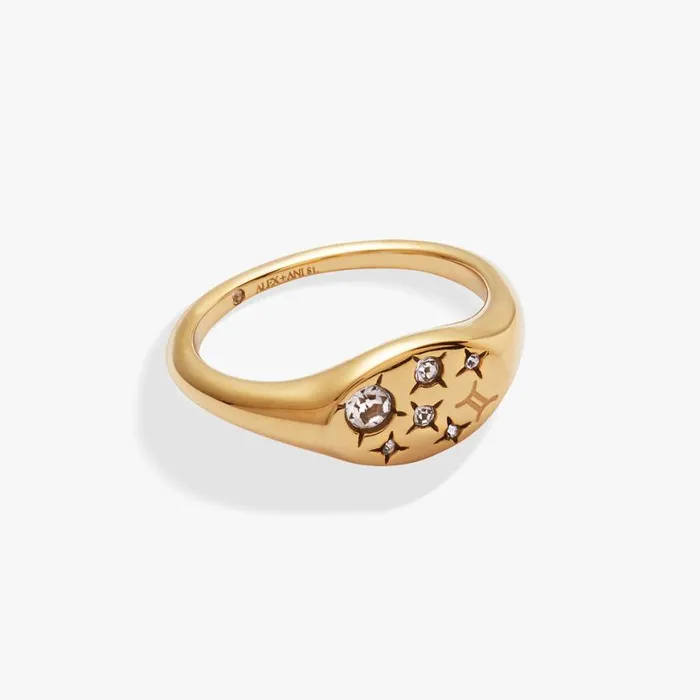 Gemini Zodiac Ring Stainless Steel Gold Women Alex And Ani Rings