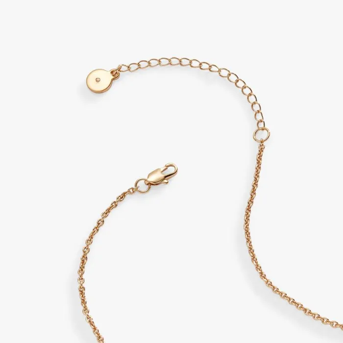 Gingerbread Charm Necklace Shiny Gold Women Alex And Ani Necklaces Gingerbread Charm Necklace Shiny Gold Women Alex And Ani Necklaces
