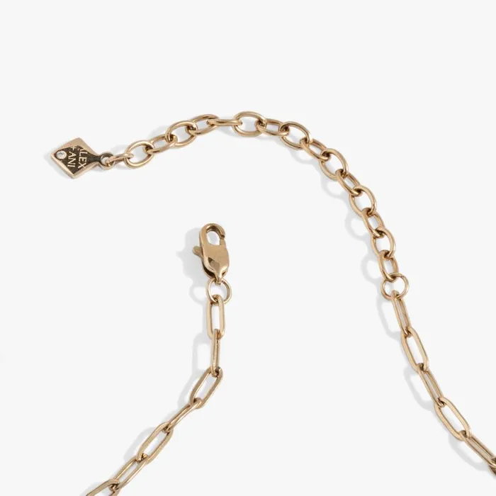 Good Luck Interchangeable Charm Necklace Stainless Steel Gold Women Alex And Ani Interchangeable Starter Set Good Luck Interchangeable Charm Necklace Stainless Steel Gold Women Alex And Ani Interchangeable Starter Set