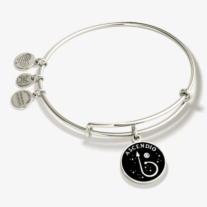 Harry Potter 039Ascendio039 Charm Bangle Bracelet Shiny Silver Women Alex And Ani Iconic Alex And Ani Harry Potter 039Ascendio039 Charm Bangle Bracelet Shiny Silver Women Alex And Ani Iconic Alex And Ani