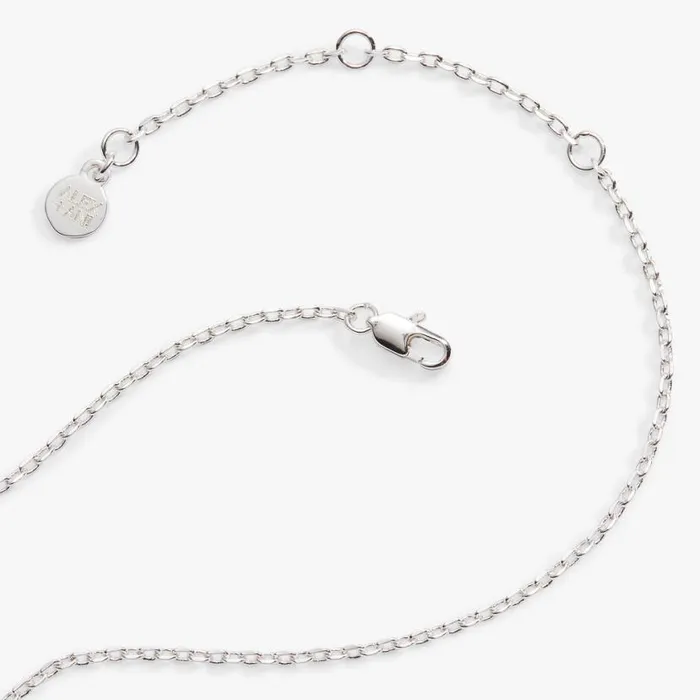 Heart And Crystal Necklace Silver Women Alex And Ani Sympathy In Memory Heart And Crystal Necklace Silver Women Alex And Ani Sympathy In Memory