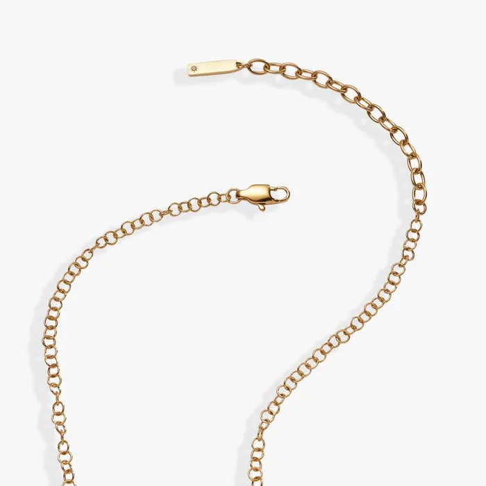 Hidden Message 039Wife039 Crystal Necklace Stainless Steel Gold Women Alex And Ani Necklaces Hidden Message 039Wife039 Crystal Necklace Stainless Steel Gold Women Alex And Ani Necklaces