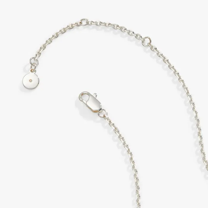 Hidden Message Cross Affirmation Necklace Silver Women Alex And Ani Easter