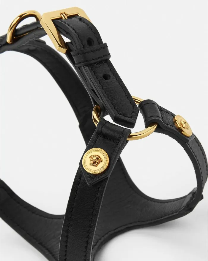Icon Pet Harness Black Home and Lifestyle Versace Pet Accessories