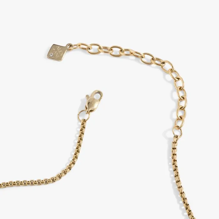 January Birthstone And Flower Flip Charm Necklace Stainless Steel Gold Women Alex And Ani Birthday January Birthstone And Flower Flip Charm Necklace Stainless Steel Gold Women Alex And Ani Birthday