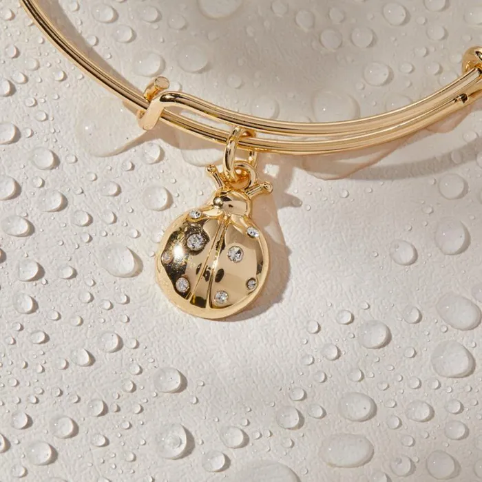 Ladybug Charm Bangle Bracelet Gold Women Alex And Ani Iconic Alex And Ani Ladybug Charm Bangle Bracelet Gold Women Alex And Ani Iconic Alex And Ani