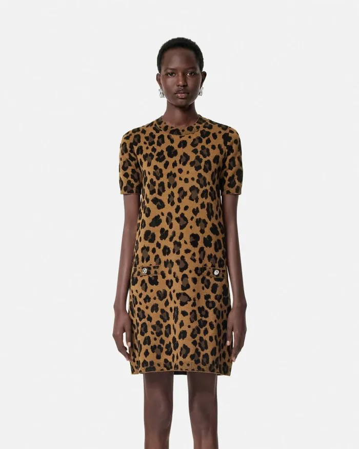 Leopard Jacquard Knit TShirt Dress Animalier Women Versace Dresses