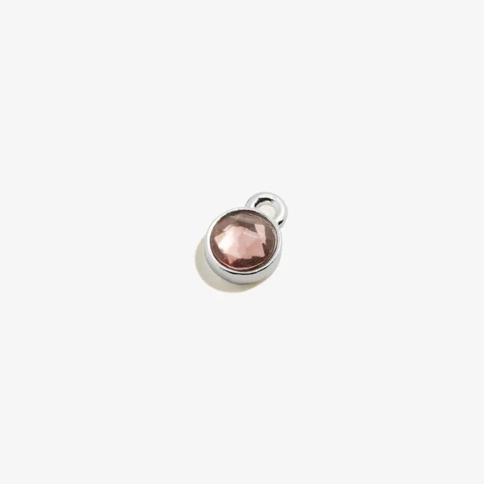 Light Amethyst Hoop Earring Charm Shiny Silver Women Alex And Ani Charms For Earrings Light Amethyst Hoop Earring Charm Shiny Silver Women Alex And Ani Charms For Earrings