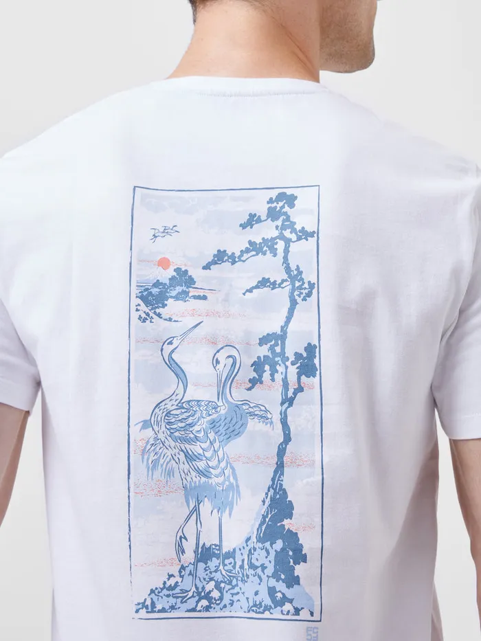 Man TShirts and Polo Shirts French Connection Cormorant Organic Graphic TShirt White Man TShirts and Polo Shirts French Connection Cormorant Organic Graphic TShirt White