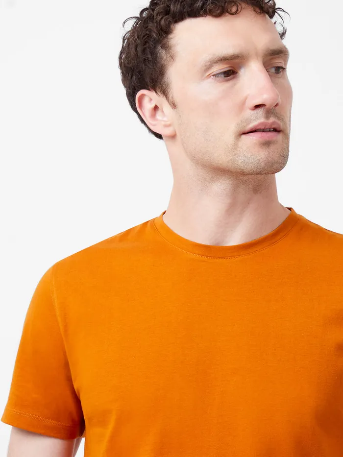 Man TShirts and Polo Shirts French Connection Organic Cotton TShirt Rust Man TShirts and Polo Shirts French Connection Organic Cotton TShirt Rust