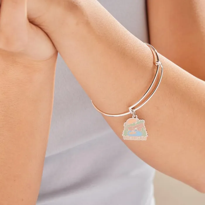 Michigan Charm Bangle Bracelet Shiny Gold Women Alex And Ani Iconic Alex And Ani Michigan Charm Bangle Bracelet Shiny Gold Women Alex And Ani Iconic Alex And Ani