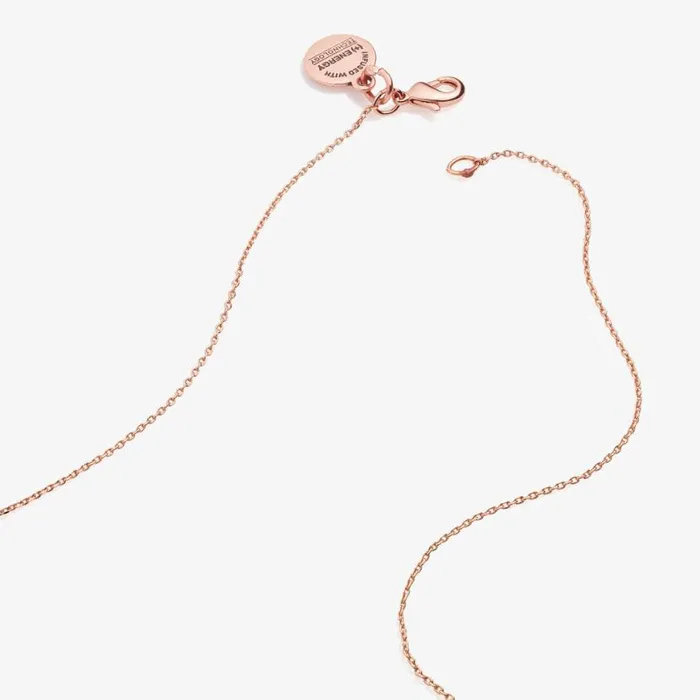 New Beginnings Charm Onyx Necklace Rafaelian Rose Gold Women Alex And Ani Graduation New Beginnings Charm Onyx Necklace Rafaelian Rose Gold Women Alex And Ani Graduation
