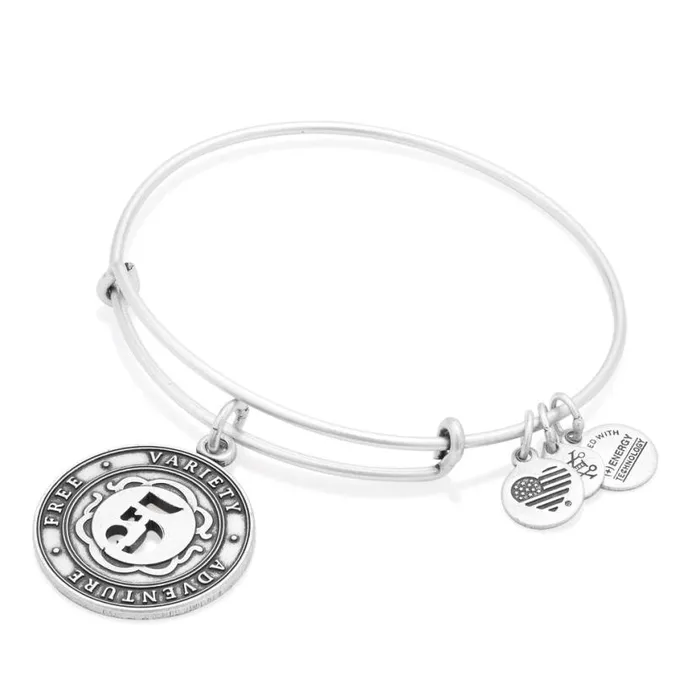 Number 5 Charm Bangle Bracelet Rafaelian Gold Women Alex And Ani Iconic Alex And Ani Number 5 Charm Bangle Bracelet Rafaelian Gold Women Alex And Ani Iconic Alex And Ani