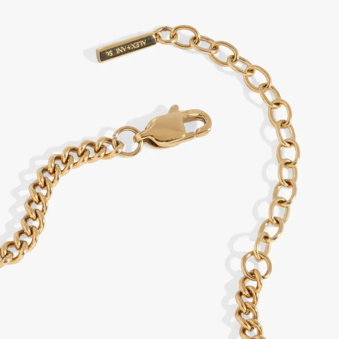 Oui and Non Reversible Heart Inline Necklace Stainless Steel Gold Women Alex And Ani Heart Oui and Non Reversible Heart Inline Necklace Stainless Steel Gold Women Alex And Ani Heart