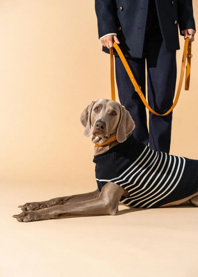 Parisian Pup Sweater Authentic Breton Striped Sweater For Dogs Wool Blend Navyivory Saint James Accessories For Dogs Parisian Pup Sweater Authentic Breton Striped Sweater For Dogs Wool Blend Navyivory Saint James Accessories For Dogs