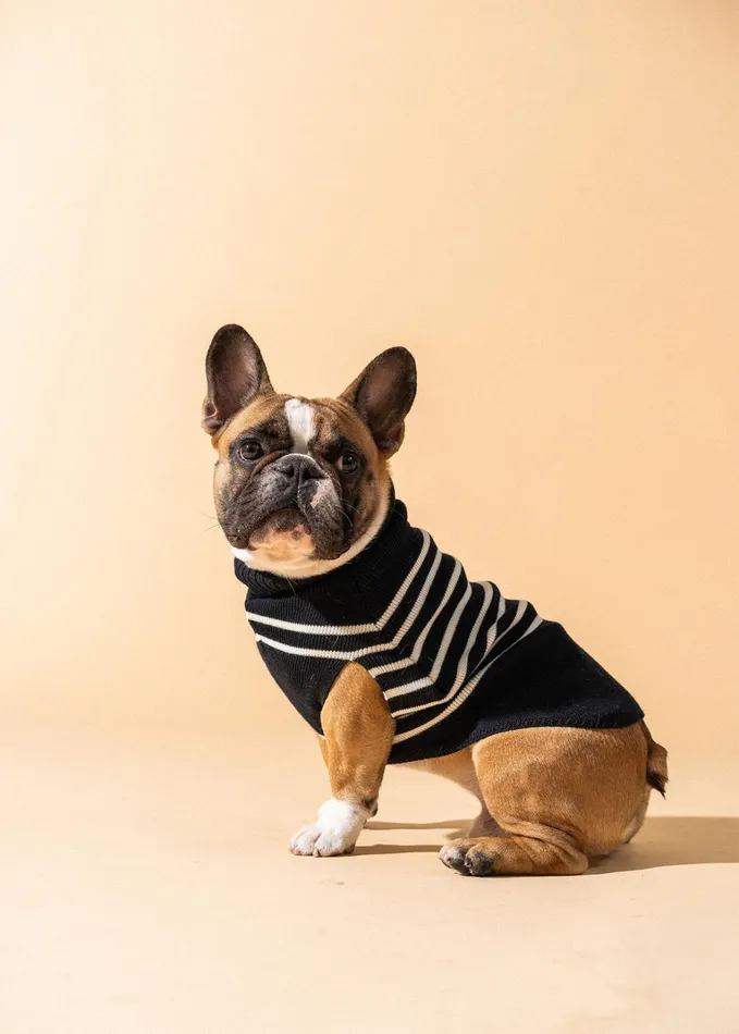 Parisian Pup Sweater Authentic Breton Striped Sweater For Dogs Wool Blend Navyivory Saint James Accessories For Dogs