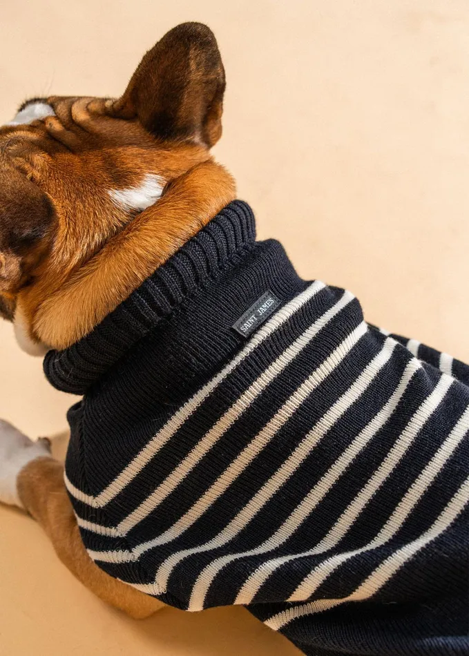 Parisian Pup Sweater Authentic Breton Striped Sweater For Dogs Wool Blend Navyivory Saint James Accessories For Dogs