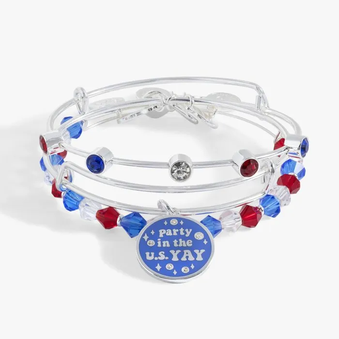 Party In The U S Yay Set Of 3 Silver Women Alex And Ani Jewelry Sets
