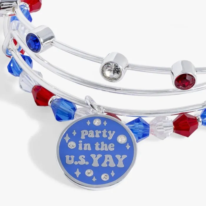 Party In The U S Yay Set Of 3 Silver Women Alex And Ani Jewelry Sets Party In The U S Yay Set Of 3 Silver Women Alex And Ani Jewelry Sets