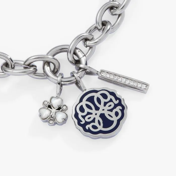 Path Of Life Trio Interchangeable Charm Bracelet Stainless Steel Silver Women Alex And Ani Chain Or Bracelet Charm Bases Path Of Life Trio Interchangeable Charm Bracelet Stainless Steel Silver Women Alex And Ani Chain Or Bracelet Charm Bases