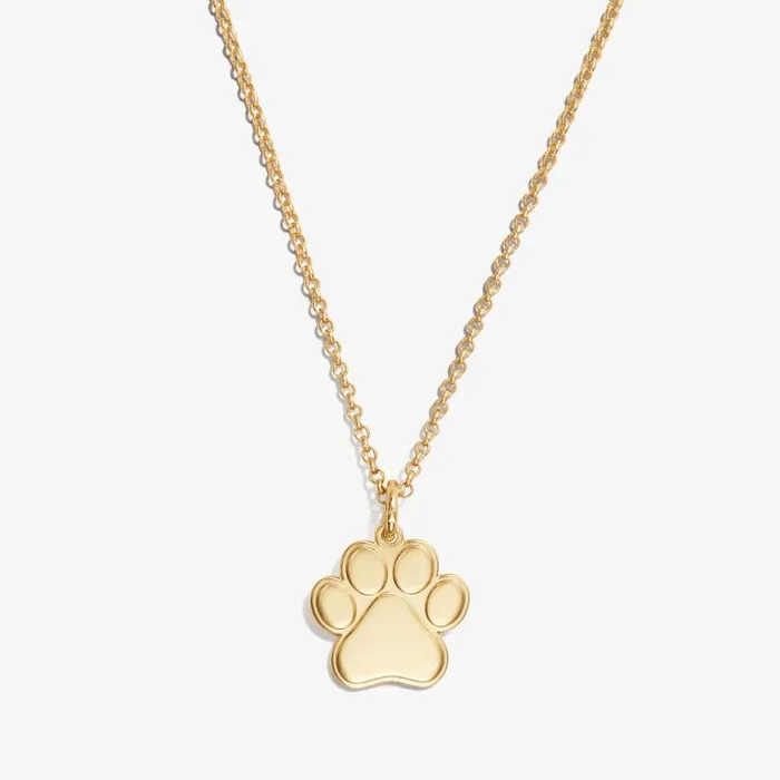 Paw Print Charm Necklace 21039039 Silver Women Alex And Ani Pets We Love Paw Print Charm Necklace 21039039 Silver Women Alex And Ani Pets We Love